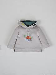 NANOS / NEONATO / Giacche, Maglioni e Felpe / Sudadera capucha Nature gris perla / 53030225795111