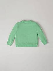 NANOS / LOOKBOOK /  / Sudadera frontal verde / 55030125298804 (2)